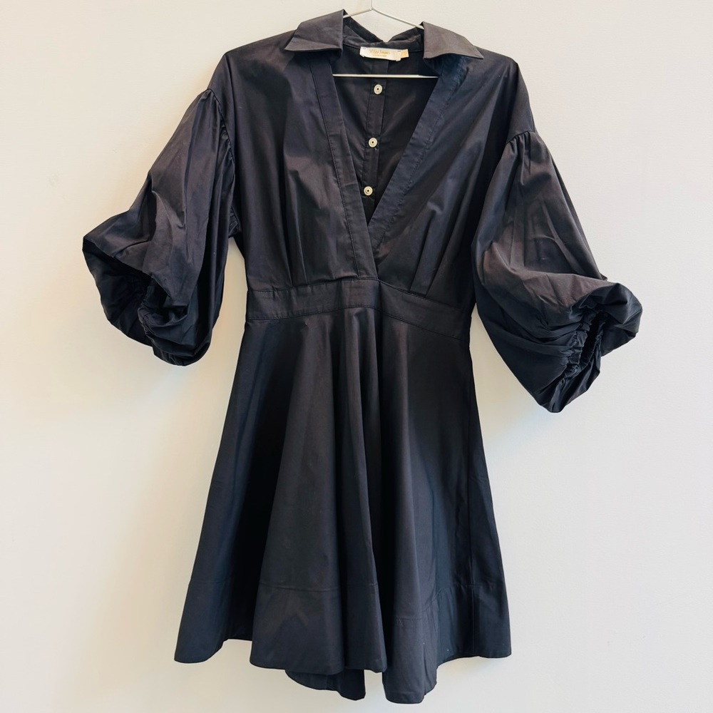 Elegant Black Puff Sleeve Dress